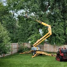 Best Seasonal Cleanup (Spring/Fall)  in Newman, CA